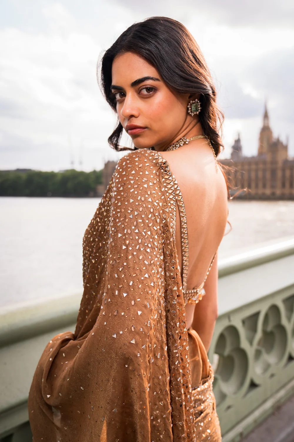Antique Gold Crystal Saree - Image 4