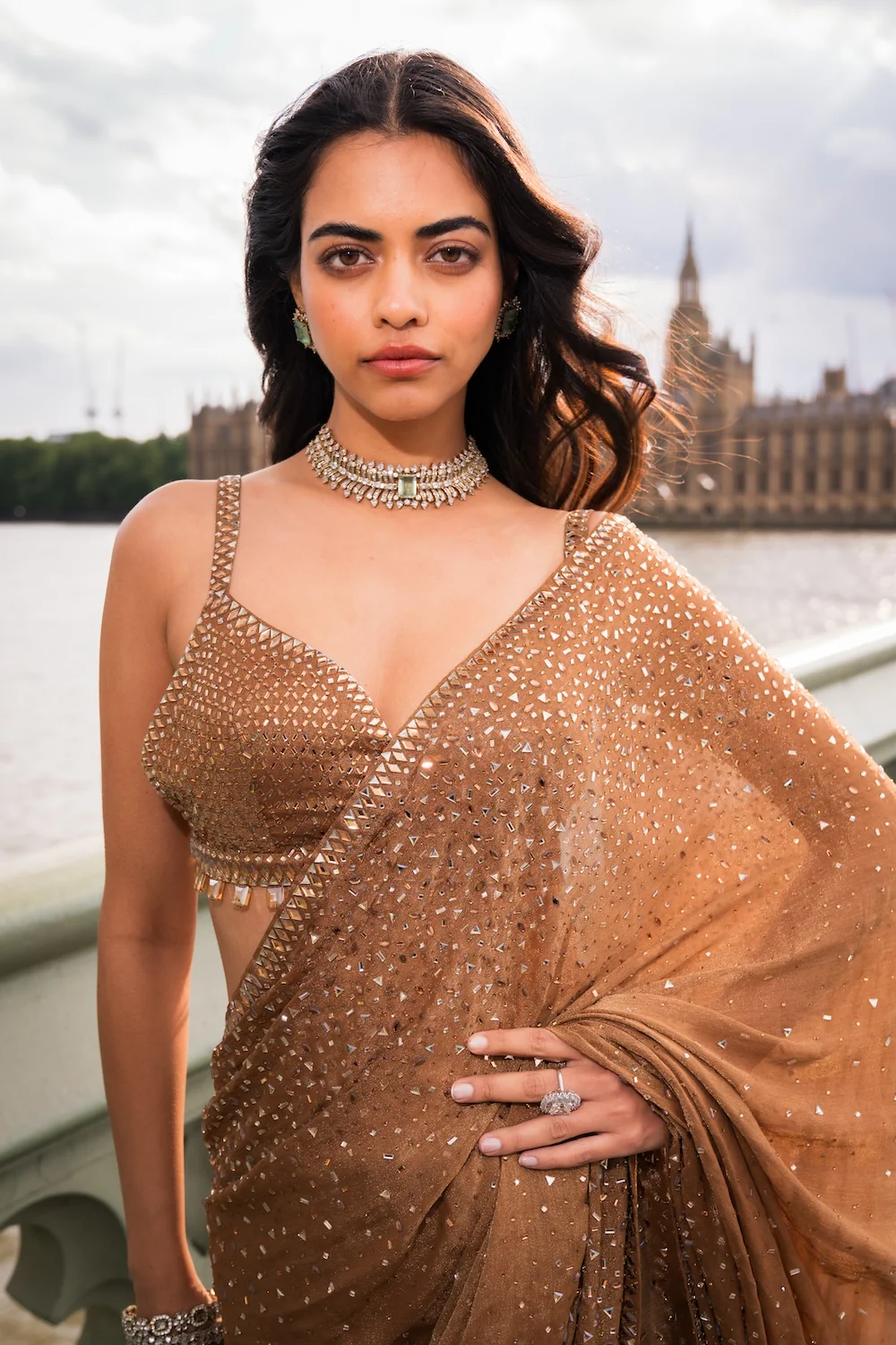 Antique Gold Crystal Saree - Image 5