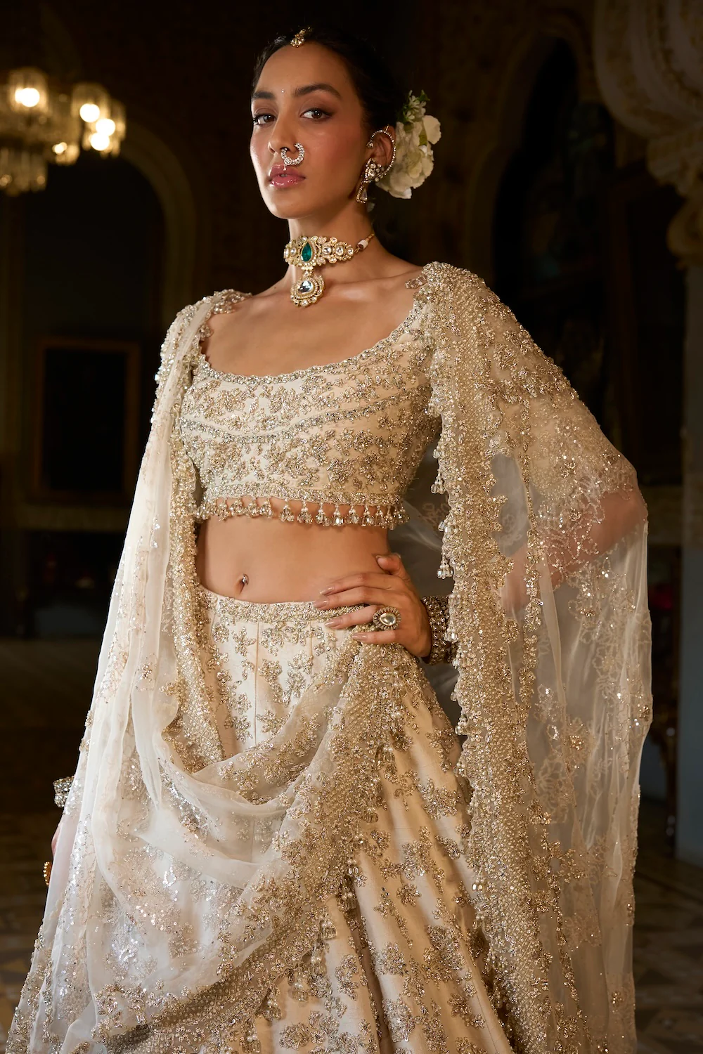 Beige Zardosi Lehenga Set - Image 3