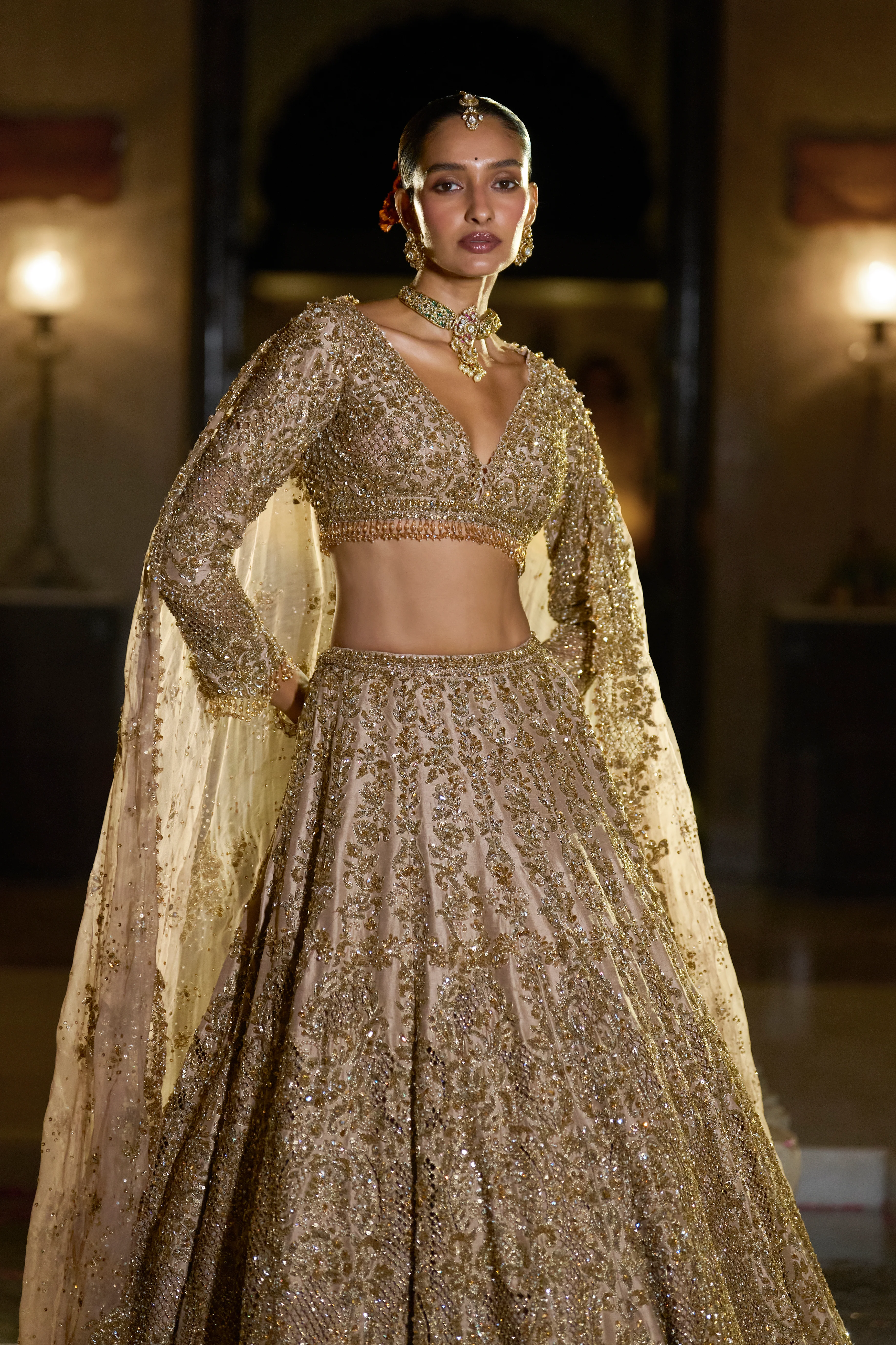 Nude Antique Gold Lehenga Set - Image 4