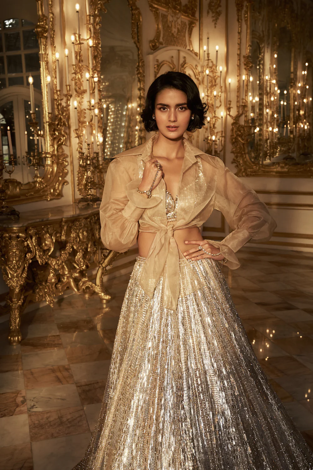 Silver Gold Crystal Lehenga Set - Image 7